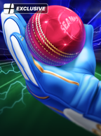 Cricket Loot Rush