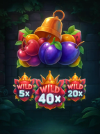 Multi Fruits: Charging Wilds